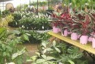 Bowravilleplant-nursery-7.jpg; ?>